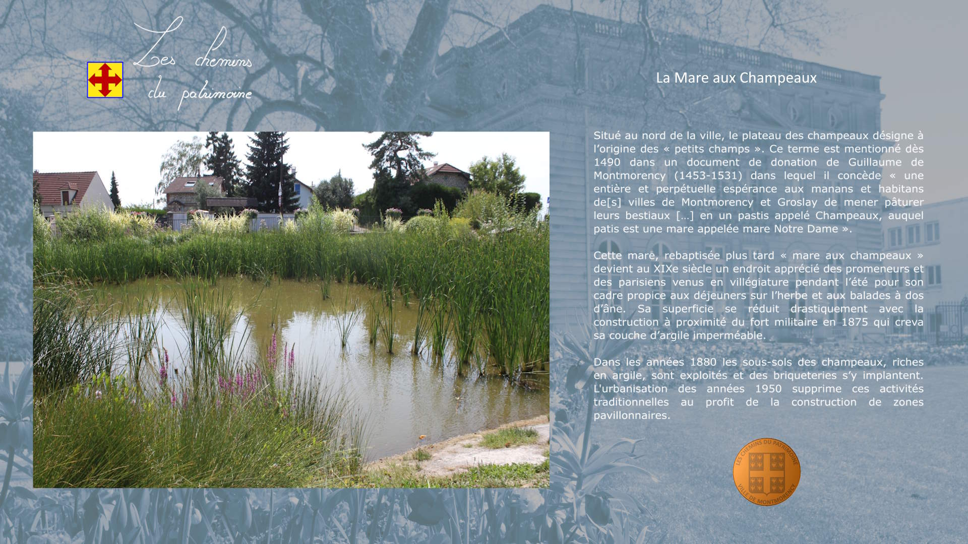 Fiche : Mare aux Champeaux