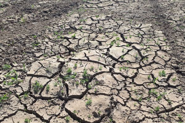 L'État de catastrophe naturelle