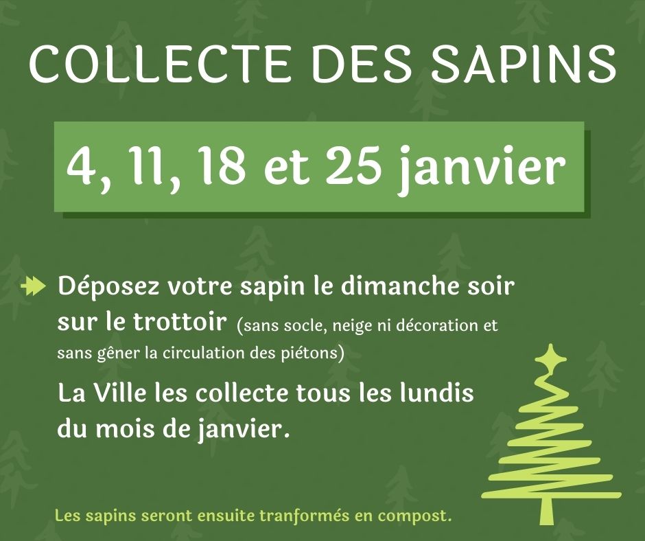 Sapins de Noël