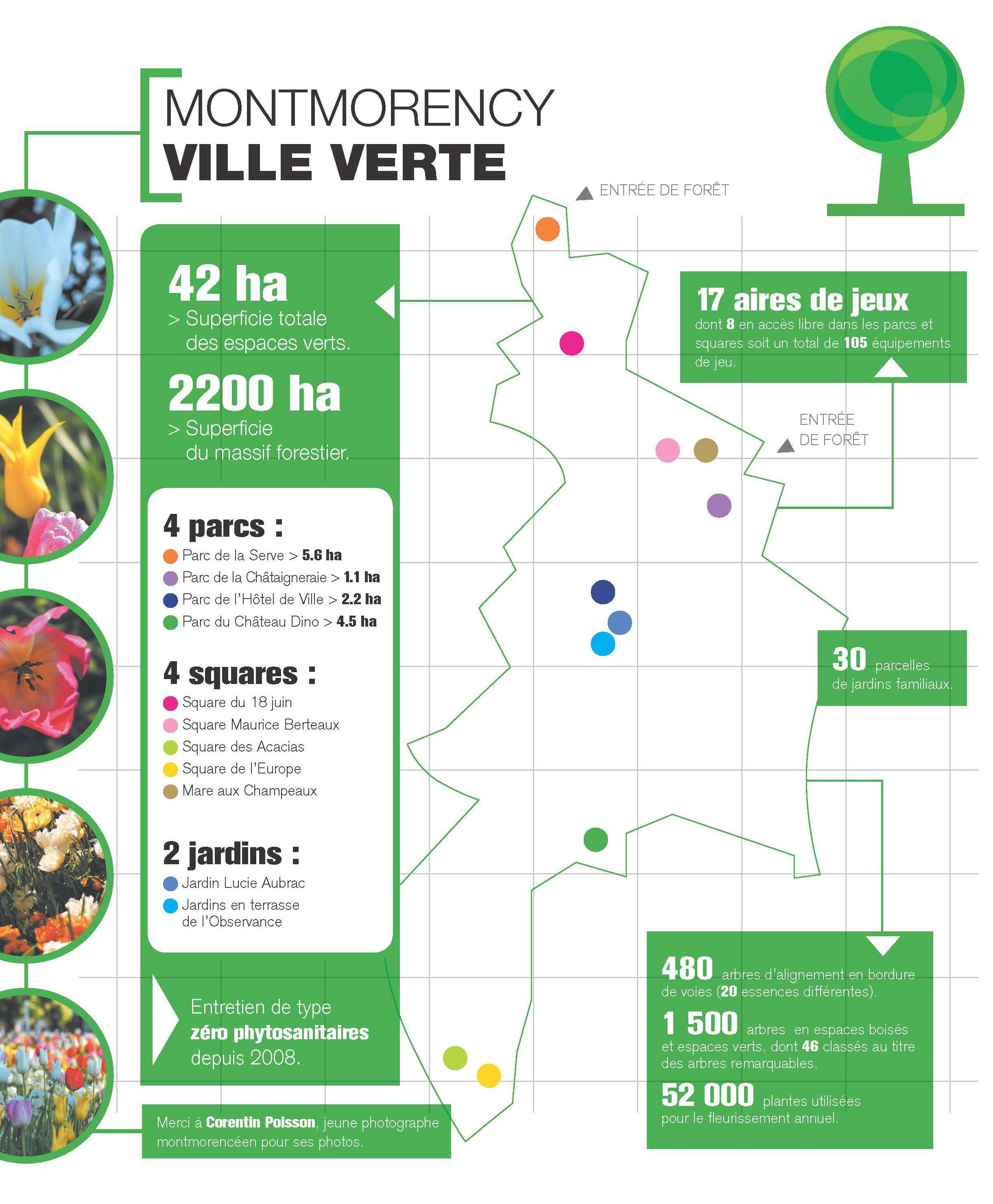 Carte ville verte