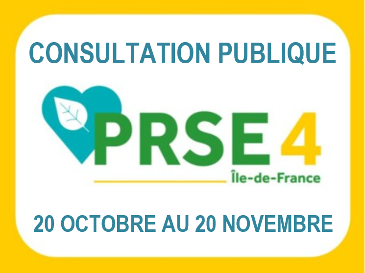logo PRSE4