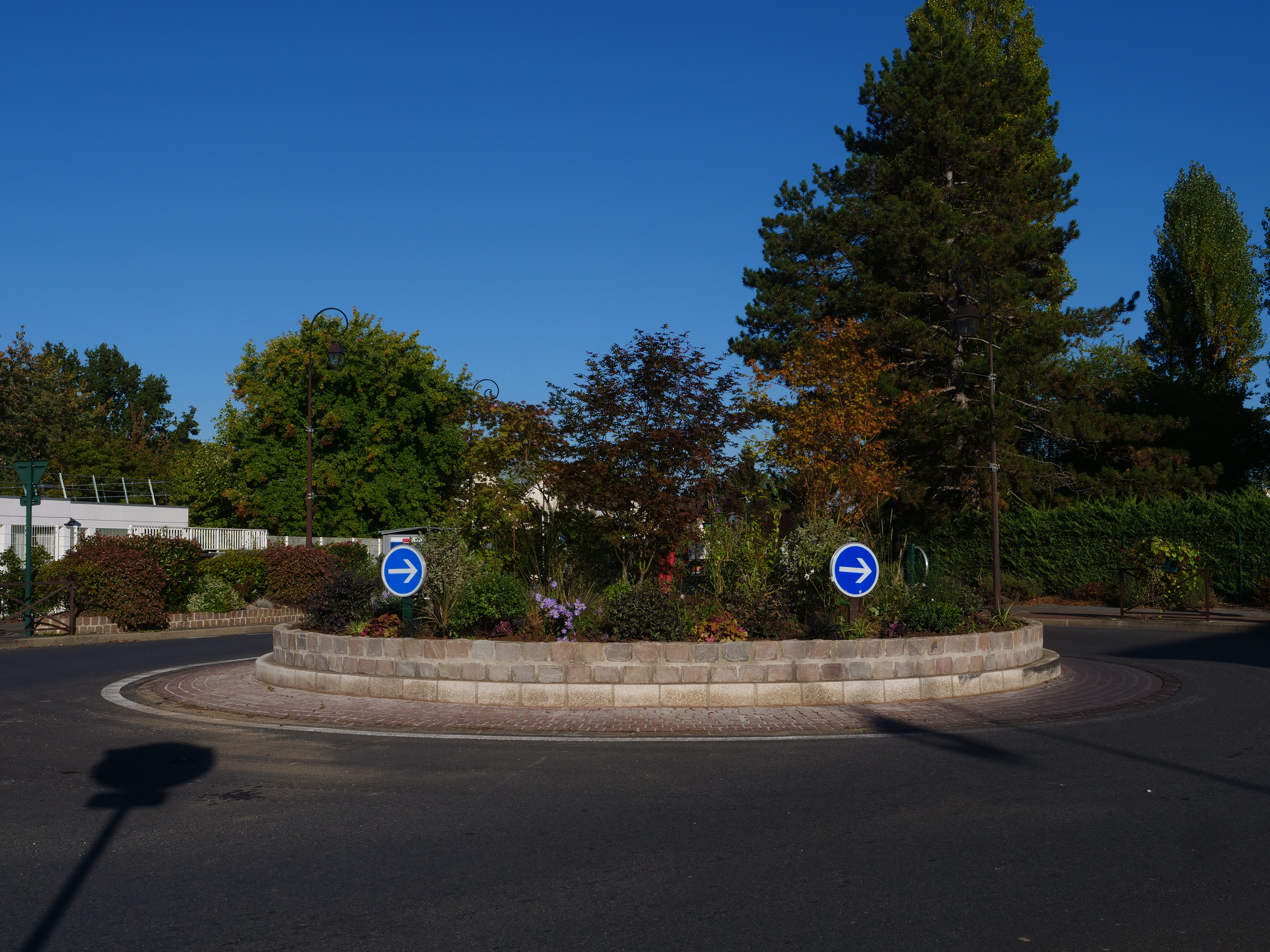 Rond-point Buisson végétalisé