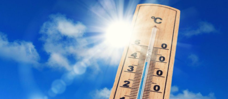 canicule