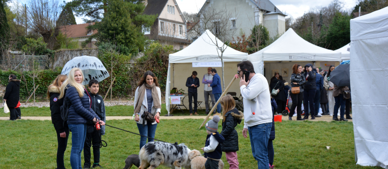 Montmorency, ville amie des animaux