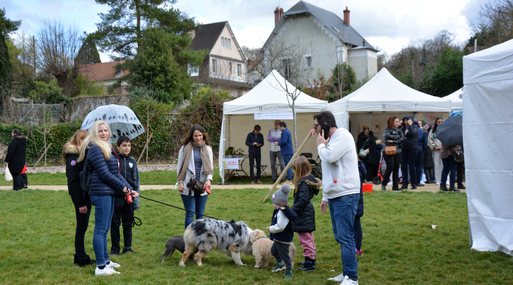 Montmorency, ville amie des animaux