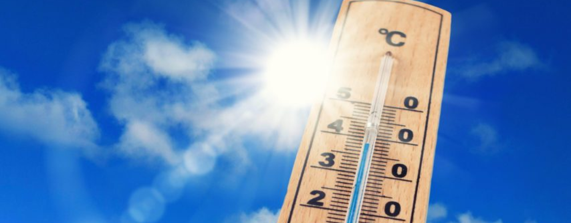canicule