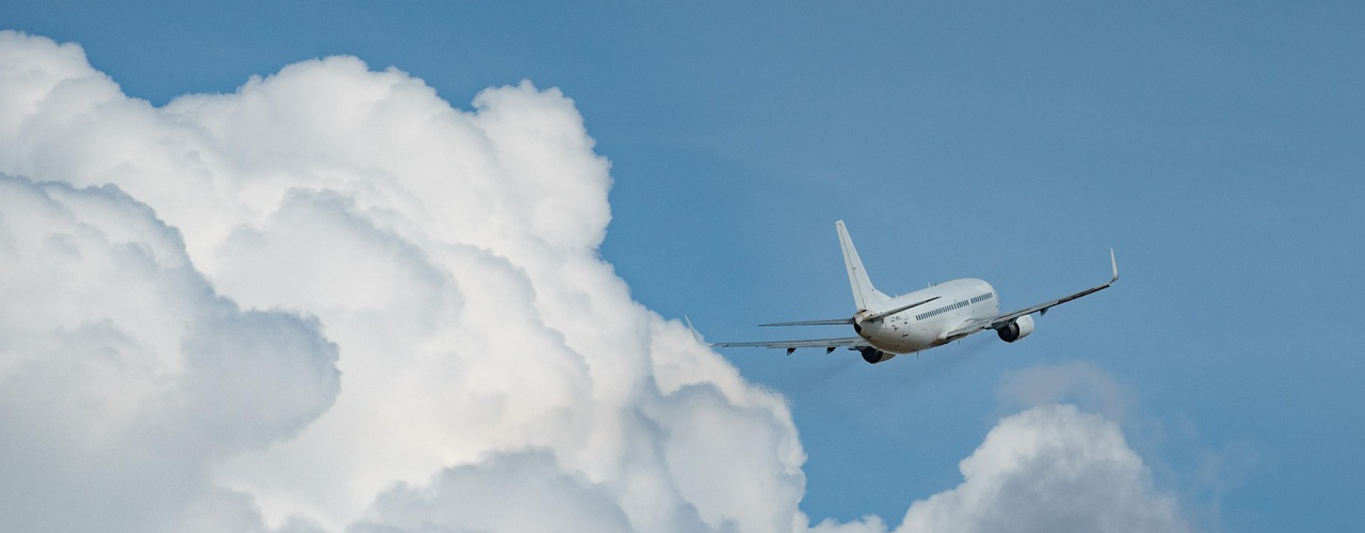 Avion