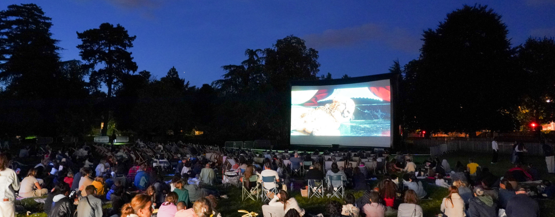 Ciné Plein Air