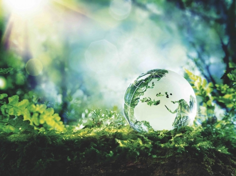Écologie Vignette