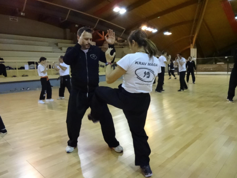 Krav Maga