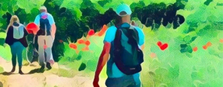 visuel grande marche pour une alternative au BIP