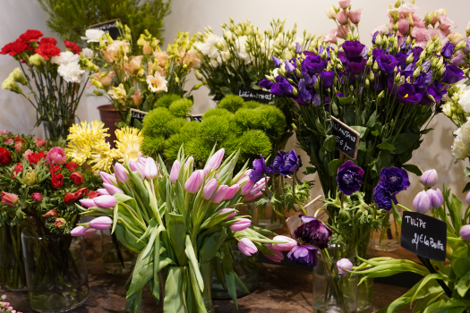 Eglantine fleuriste