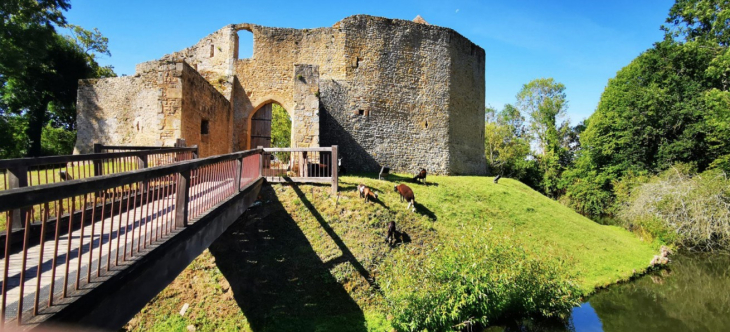 Château de Crèvecoeur en Auge