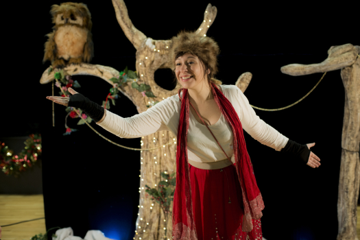 Joyeux noël Monsieur Hibou