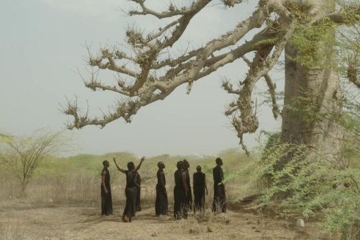 Danse et cinéma 29 mars