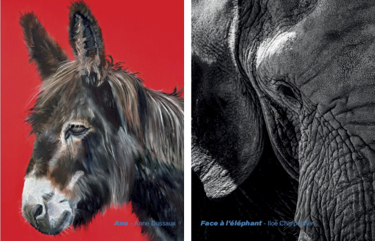 Anne Dussaux et Iloë Charpentier