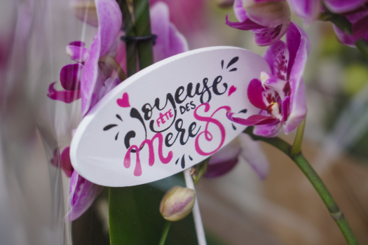 Week-end surprises spécial Fête des Mères