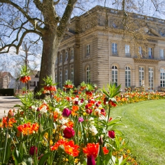 Hôtel de ville