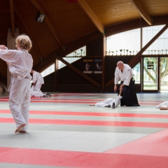 Dojo