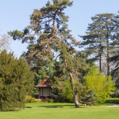 Parc de l'Hôtel de Ville