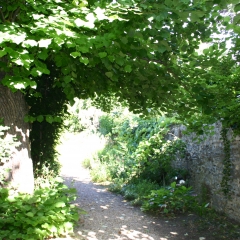 Le jardin du musée