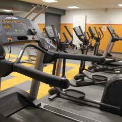 La salle de cardio-training de l'Aquadium