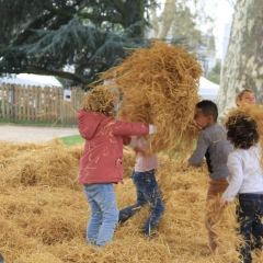 Les Naturelles 2019