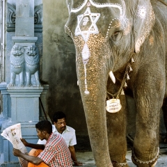 Lakshmi Ganesha, © Farid Belhadj