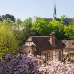 Vue de La Collégiale