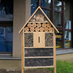 Montmorency, ville référence de la biodiversité !