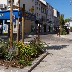 Rue Saint-Jacques