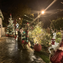 1er prix, Charlène Blin - catégorie du plus beau jardin décoré