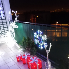 1er prix, Claudine Maire - catégorie du plus beau balcon décoré