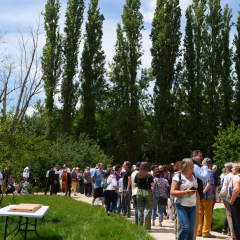 Les sources de Montmorency