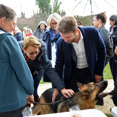 Montmorency, ville amie des animaux