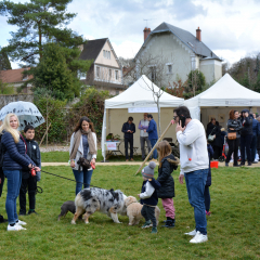 Montmorency, ville amie des animaux