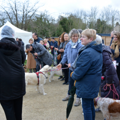 Montmorency, ville amie des animaux