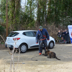 Montmorency, ville amie des animaux