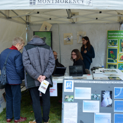 Montmorency, ville amie des animaux