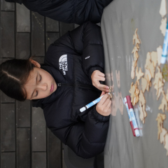 Animations place Mendès-France