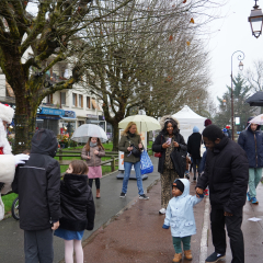 Tour du Père Noël en calèche
