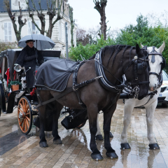 Tour du Père Noël en calèche