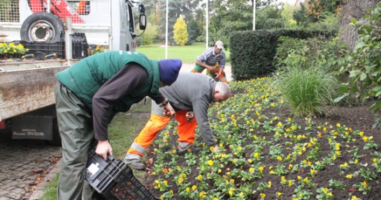 Entretien des jardins