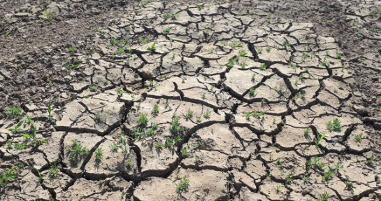 Historique des arrêtés de catastrophe naturelle