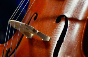 violoncelle