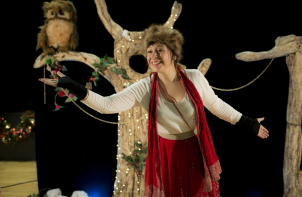 Joyeux noël Monsieur Hibou