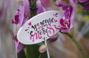 Week-end surprises spécial Fête des Mères