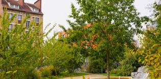 Square Jean-Monnet