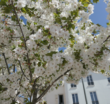 printemps