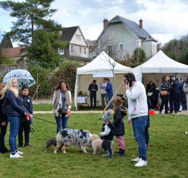 Montmorency, ville amie des animaux